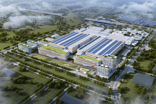 Typical Case Sharing